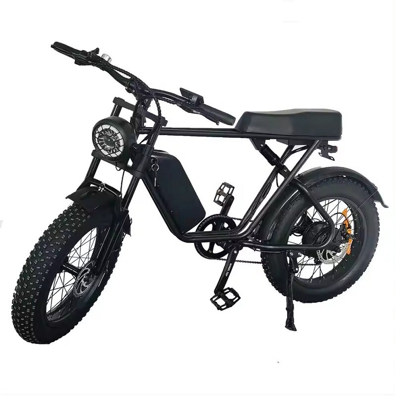 الدراجة الكهربائية ذات الإطارات السميكة ، الطريق والجبال الترابية ، سعر في المتناول ، الهجين W ، 48V ، من من من من نوع ww
