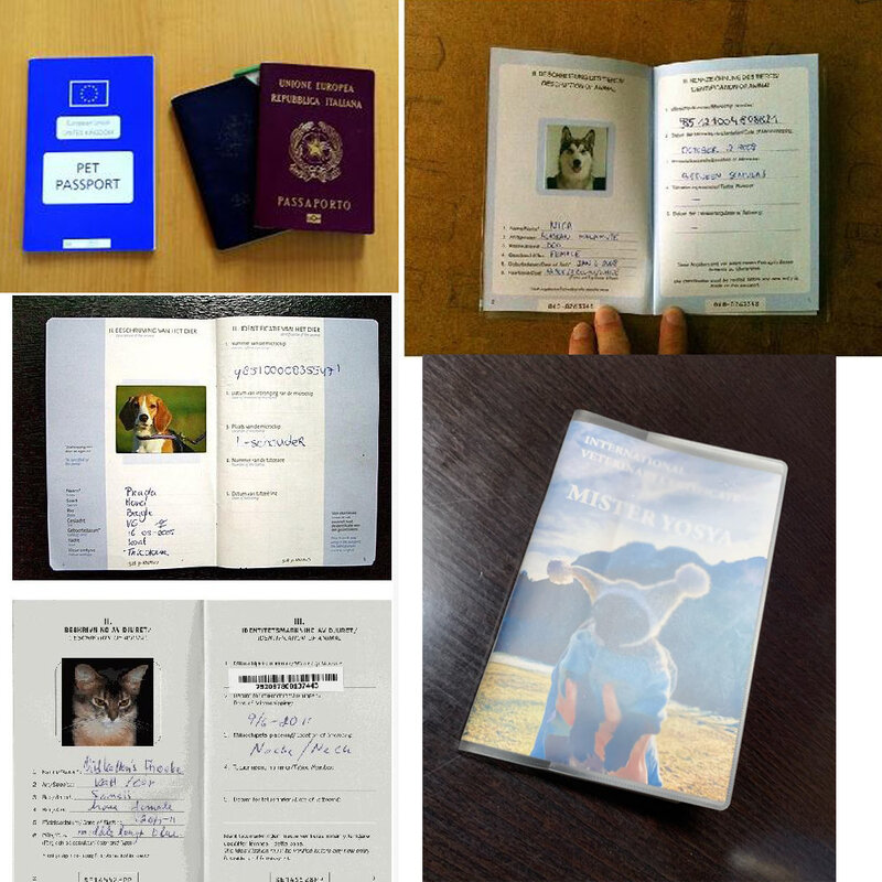 غطاء جواز السفر الأوروبي للحيوانات الأليفة ، ملحقات السفر ، منتجات الحيوانات الأليفة ، غطاء جواز السفر للكلاب والقطط