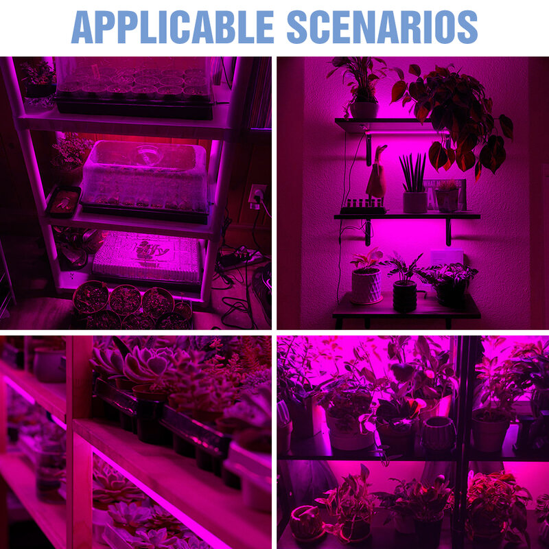 أدى كامل الطيف أعشاب مصباح USB 5V تنمو شرائط مصباح 0.5m 1m 2m 3m 2835 SMD النباتات الزهور LED الدفيئة Cultivo المائية