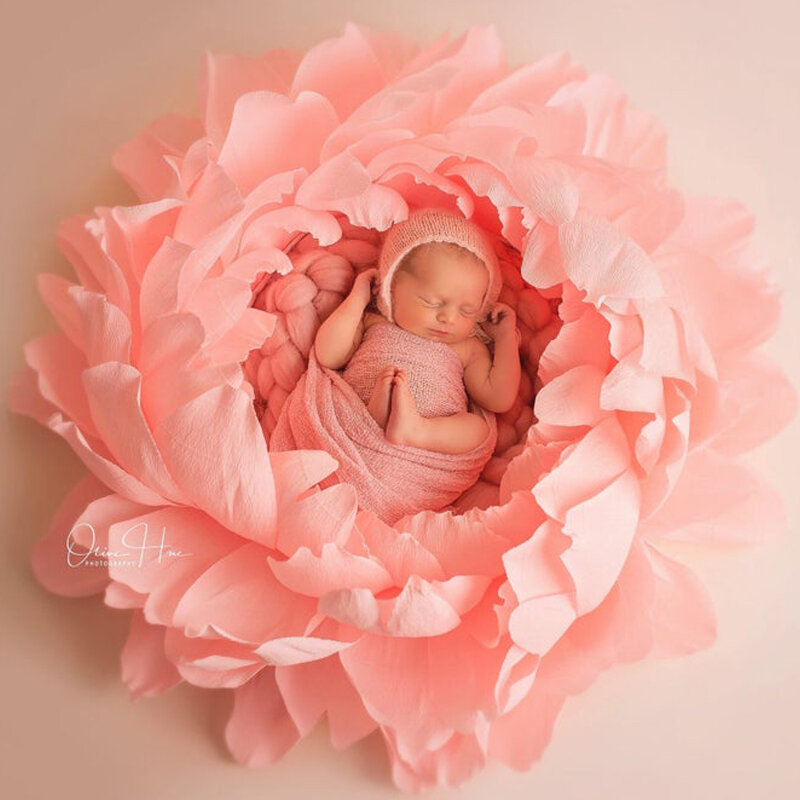 الوليد التصوير الدعائم مروحة استوديو الإبداعية الزهور الدعائم الطفل الطفل صور دليل petals إطار دائري