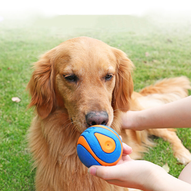 هوبيت كلب جرو صار مضغ لعبة الصوت النقي الطبيعي غير سامة المطاط في الهواء الطلق لعب كلب صغير كبير مضحك الكرة