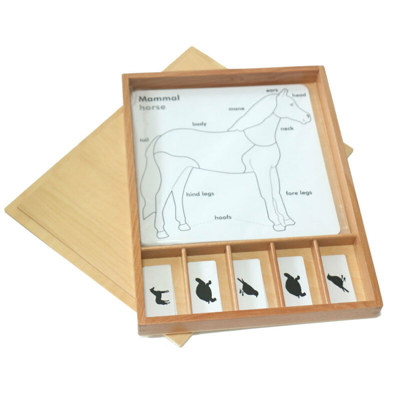 مونتيسوري اللغة وسائل تعليمية رياض الأطفال اللعب الفكرية كبيرة الحيوان صورة بطاقة ألعاب الدماغ للأطفال الأسماك الحصان الضفدع