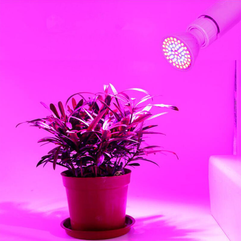 80 LED Led تنمو ضوء النبات فيتو مصباح لمبات النمو أضواء E27 Phytolamp الطيف الكامل داخلي زهرة الإضاءة المائية خيمة