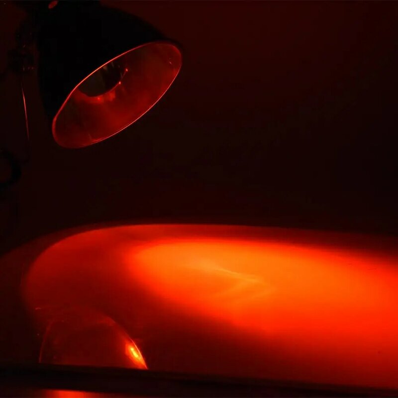 220-240 فولت الزواحف السلاحف ثعبان الطيف الكامل مصباح تدفئة UVA + UVB ضوء الشمس الزواحف مصباح تدفئة العزل الأحمر ضوء الزجاج Heati