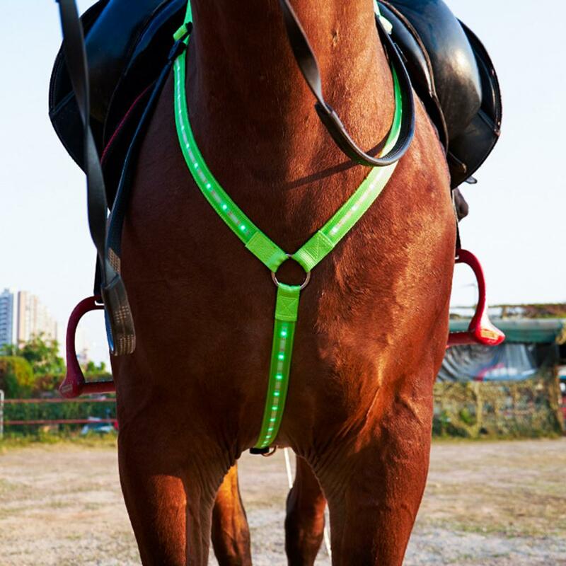 المحمولة الفروسية حزام عاكس قابل للتعديل استبدال بطاريات وامض LED وامض ركوب الخيل حزام للخارجية