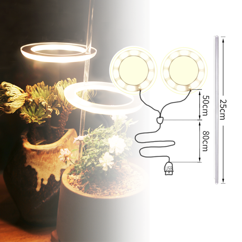 انجيل ثلاثة حلقة تنمو ضوء DC5V USB Phytolamp للنباتات Led مصباح الطيف الكامل لشتلات النباتات في الأماكن المغلقة المنزل زهرة Succulet