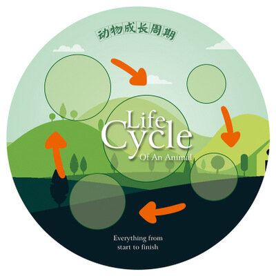 محاكاة الحيوانات دورة النمو الحشرات دورة الحياة الطابق صينية تمثال نماذج البلاستيكية عمل أرقام ألعاب تعليمية للأطفال
