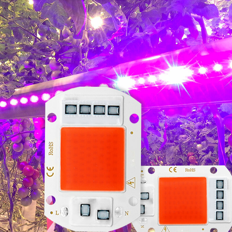 LED تنمو ضوء الطيف الكامل COB LED رقاقة التيار المتناوب 110 فولت 220 فولت لا حاجة سائق مصباح فيتو للداخلية ضوء النبات الشتلات تنمو مصباح