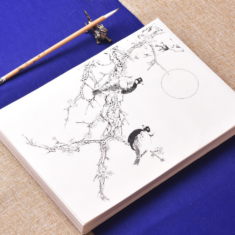 خط رسم شوان ورقة الصينية رسم مخطوطة نسخ الممارسة الطابع الأساسي تعليمي مبتدئين أزهار ورقية الأرز الطيور