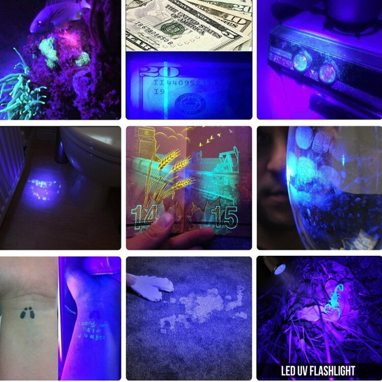 39nm LED UV مصباح يدوي 18650 1 وضع الأشعة فوق البنفسجية الشعلة T6 الضوء الأرجواني قابلة للشحن التكبير الأسود ضوء الحيوانات الأليفة البول البقع الكاشف