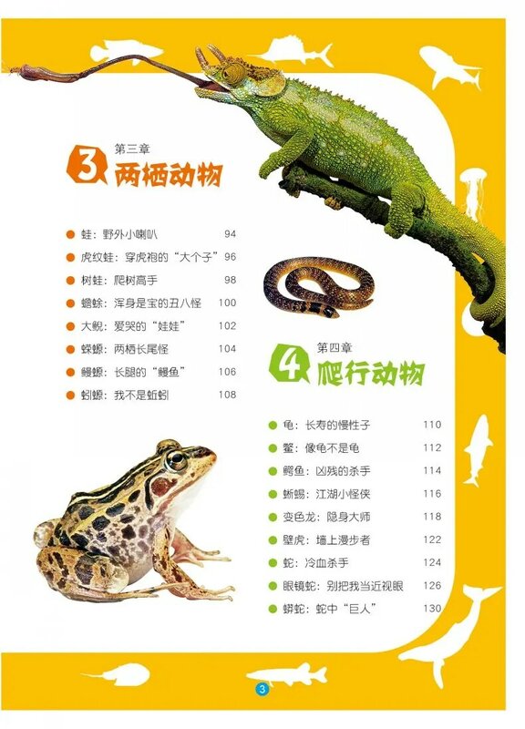الأطفال الصينيين الحيوان موسوعة كتاب الطلاب اكتشاف الحيوان العالم 8-12 الأعمار