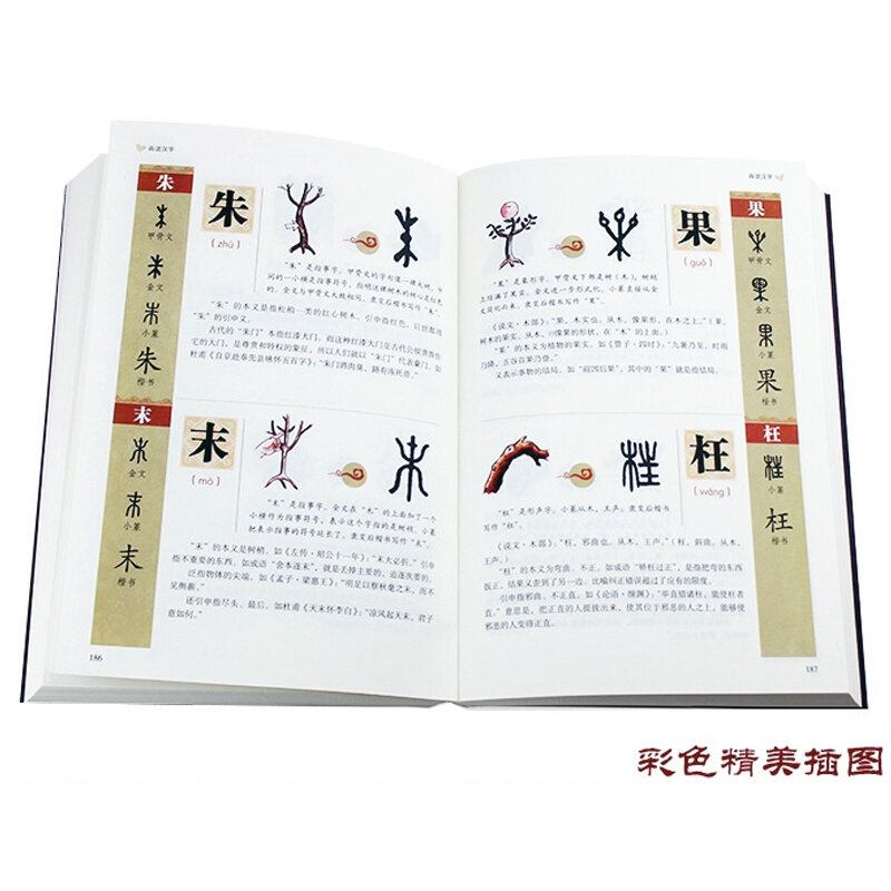 كتب الحروف الصينية للمبتدئين ، سهلة التعلم 1000 الطابع الصيني مع صور الرسومات