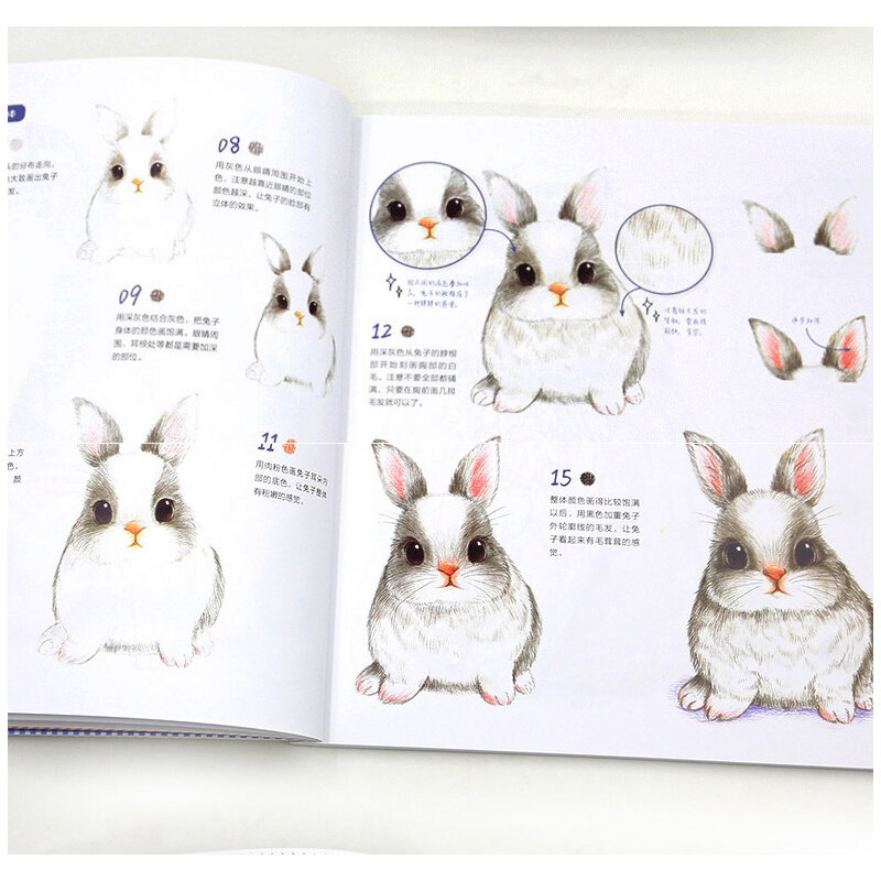 جديد الصينية الملونة قلم رصاص رسم كتاب القط الأرانب جميل الحيوان رسم كتاب تخفيف الإجهاد للمتعلمين الذاتي