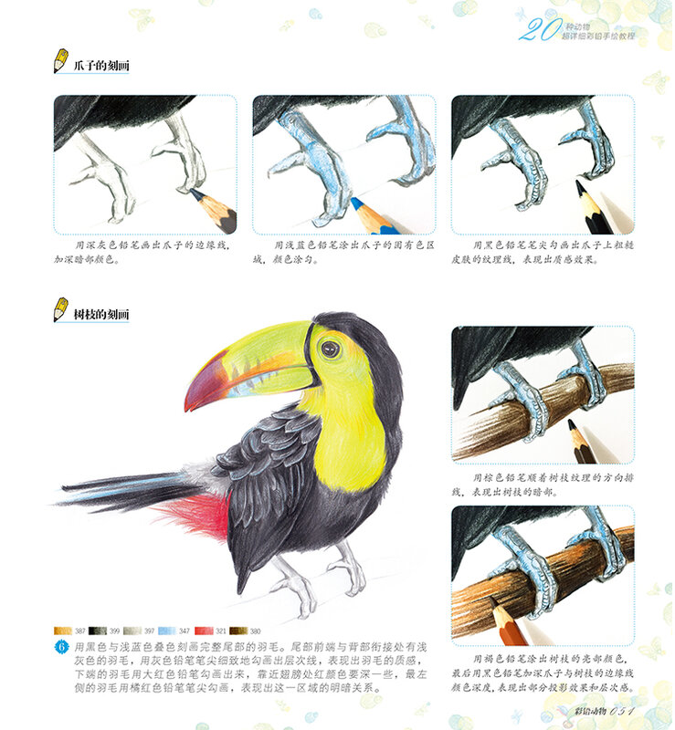 جديد قلم رصاص ملون رسم دخول الكتب الصينية خط رسم كتب الحيوان رسم المعرفة الأساسية تعليمي كتاب للمبتدئين