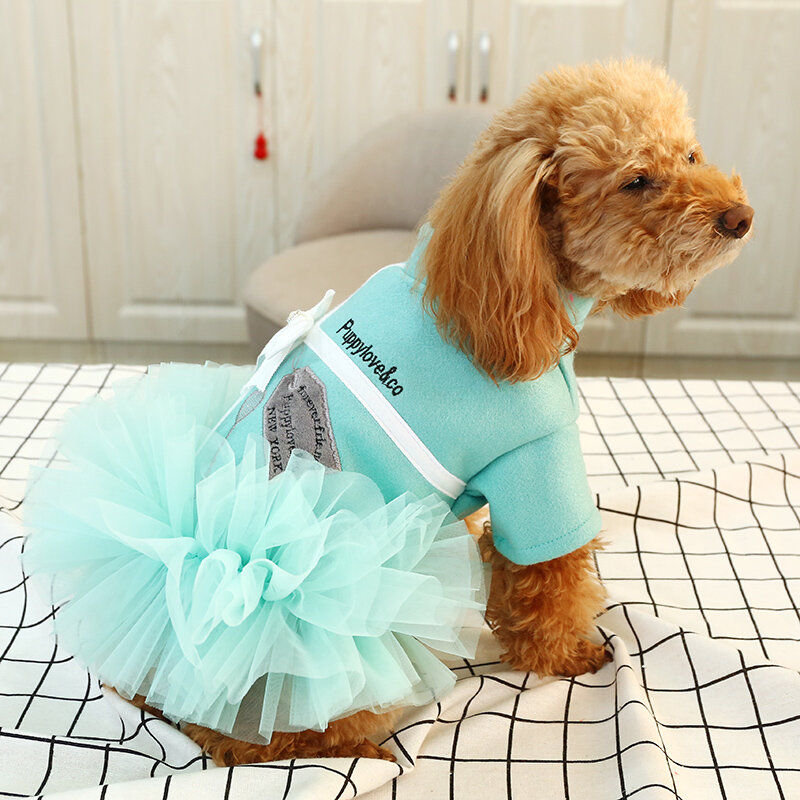 فستان أميرة من الدانتيل توتو ، كلب صغير بومرنان ، كلب صغير ، جرو لطيف ، الربيع والصيف