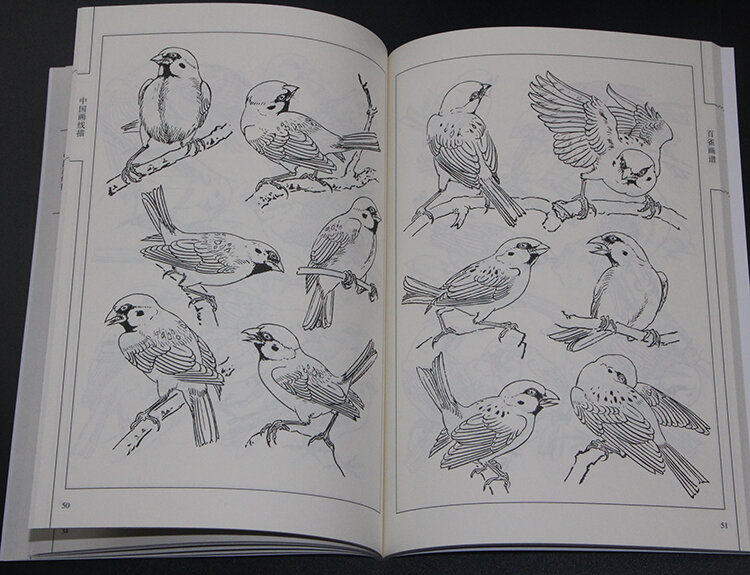 94 صفحة الصين 100 كرين الطيور Xianmiao Baimiao خط الرسم اللوحة الفن كتاب