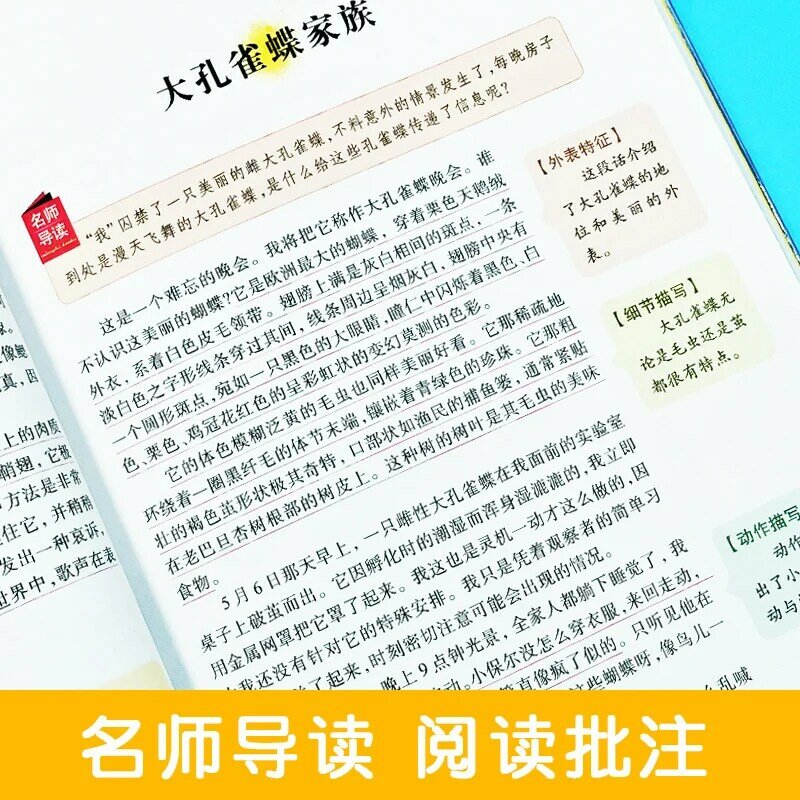 جديد السجلات حول الحشرات الصينية كتاب العالم الكلاسيكي كتاب القصة للأطفال الأطفال