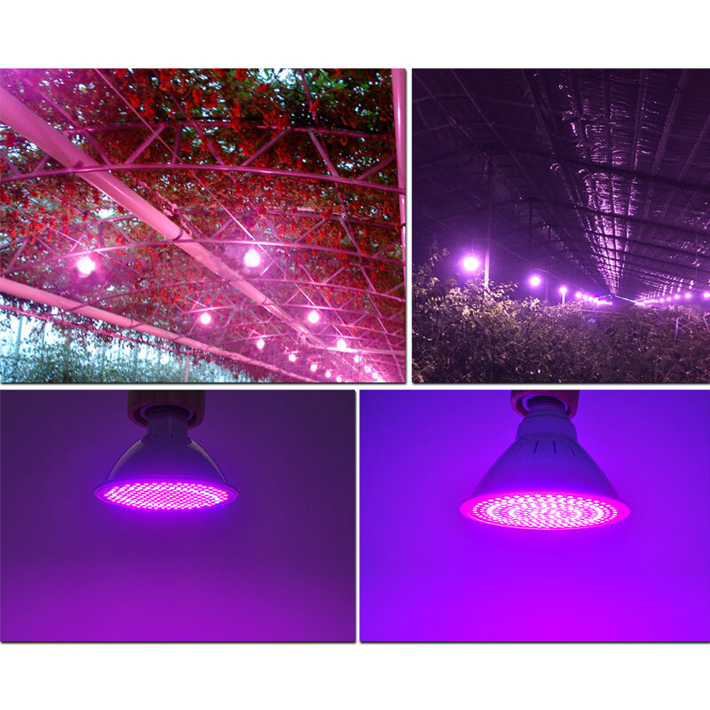 LED تنمو ضوء E27 LED مصباح الطيف الكامل 4 واط 50 واط 60 واط AC110V 220 فولت داخلي مصنع مصباح الأشعة فوق البنفسجية لنظام الزراعة المائية المزهرة