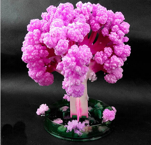 2019 135 مللي متر H اليابان الوردي الكبير ماجيك تنمو ورقة اليابانية ساكورا شجرة سحرية تنمو الأشجار عدة سطح المكتب زهر الكرز الاطفال اللعب