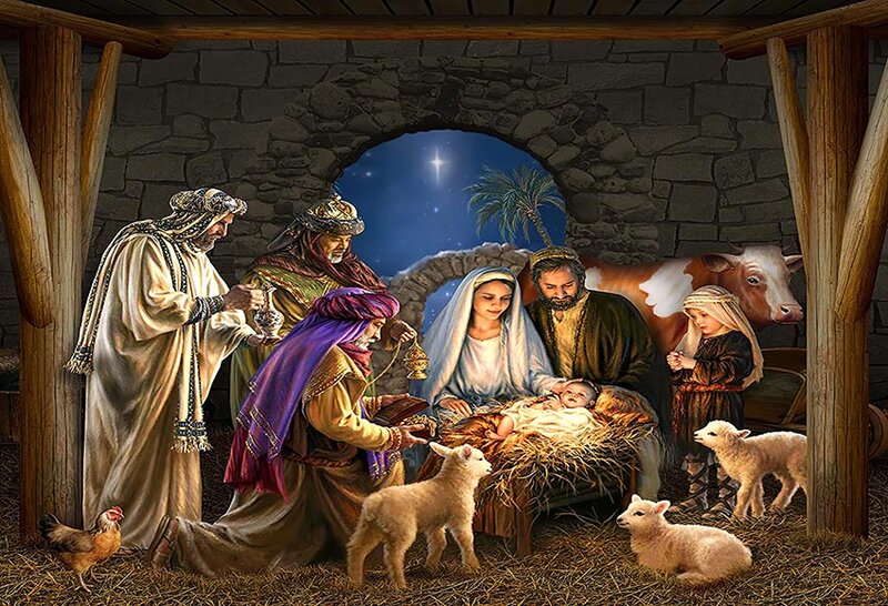 عيد الميلاد الميلاد المهد حفلة الأغنام الفينيل التصوير خلفية الصورة استوديو فوتوكورد