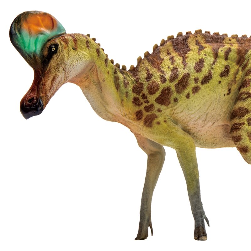PNSO ما قبل التاريخ نماذج من الديناصورات: 28 كارولين وcorythosaurus