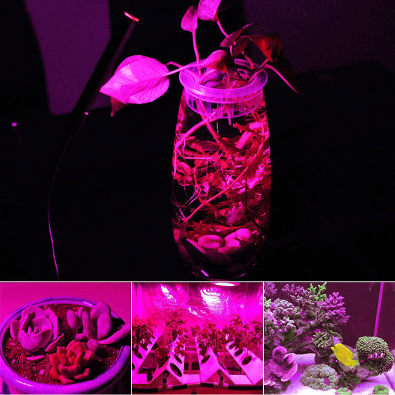 LED تنمو COB رقاقة فيتو مصباح الطيف الكامل AC220V 10 واط 20 واط 30 واط 50 واط ل داخلي شتلات النبات تنمو و زهرة النمو الإضاءة