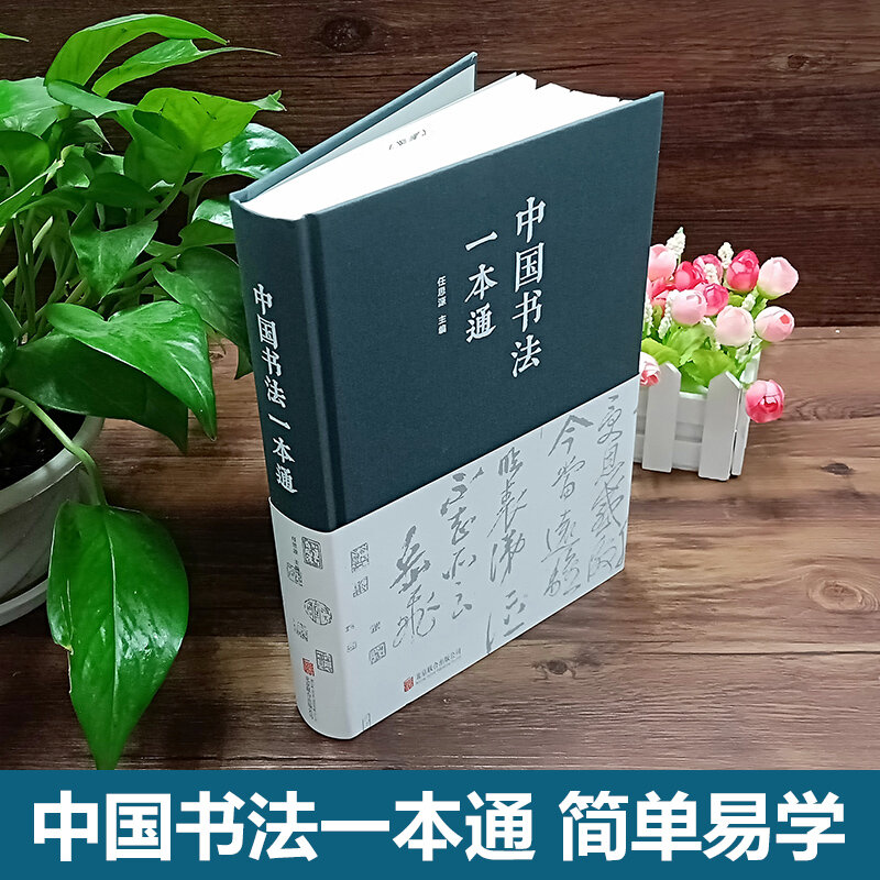 تعلم كتاب الخط الصيني, واجهة مختلفة, سهل التعلم, 25 سنتيمتر x 18 سنتيمتر, 640 صفحة, جديد