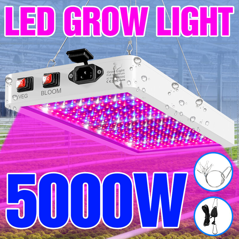 5000 واط داخلي LED تنمو أضواء LED مصنع المصباح الكهربي 220 فولت الطيف الكامل Phytolamp 4000 واط 110 فولت الزراعة المائية لامبارا LED لوحة Bombilla