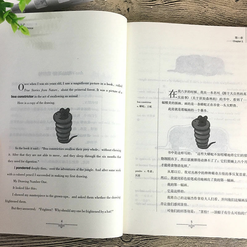رواية العالم الشهير الأمير الصغير الصينية-الإنجليزية ثنائية اللغة كتاب القراءة للأطفال أطفال كتب الإنجليزية الأصلي libros