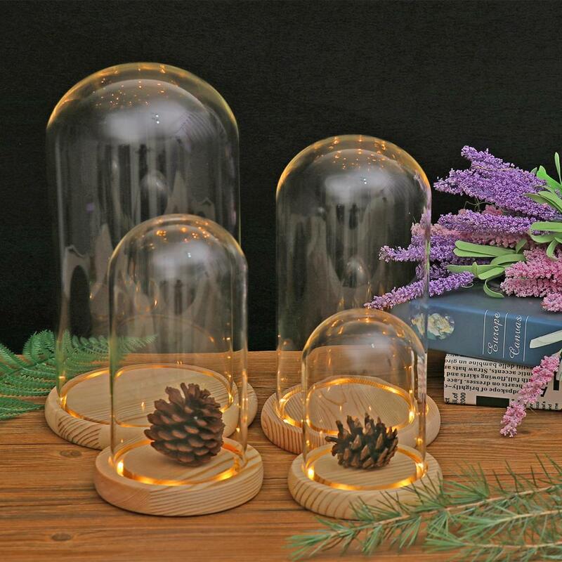 قبة عرض زجاجية شفافة مع قاعدة خشبية LED ، صندوق نباتات زهور جافة لغرفة النوم ، غرفة المعيشة ، المكتب ، الديكور