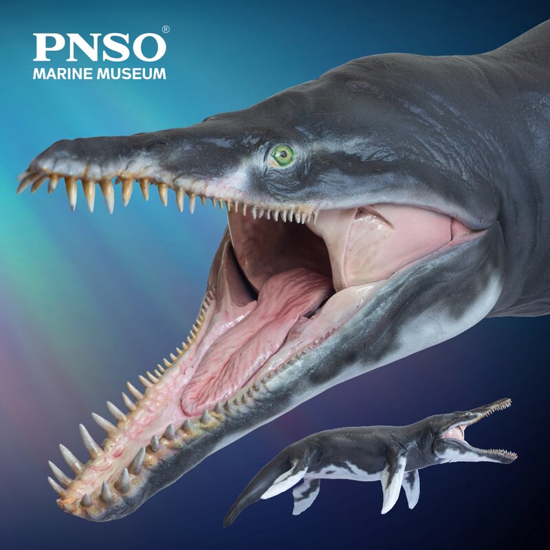 جيف الكرونوصور 1:35 متحف PNSO البحري نموذج فني علمي