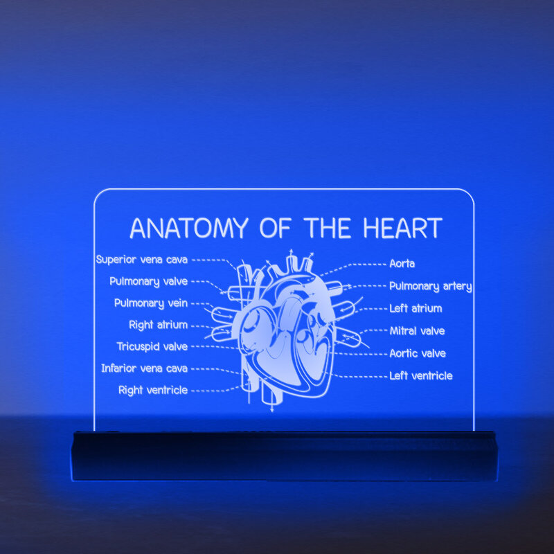 الإنسان القلب الرسم البياني ثلاثية الأبعاد تصميم الشعور الإضاءة القلب هدية القلب مؤشر مصباح مستشفى القلب قسم ديكور