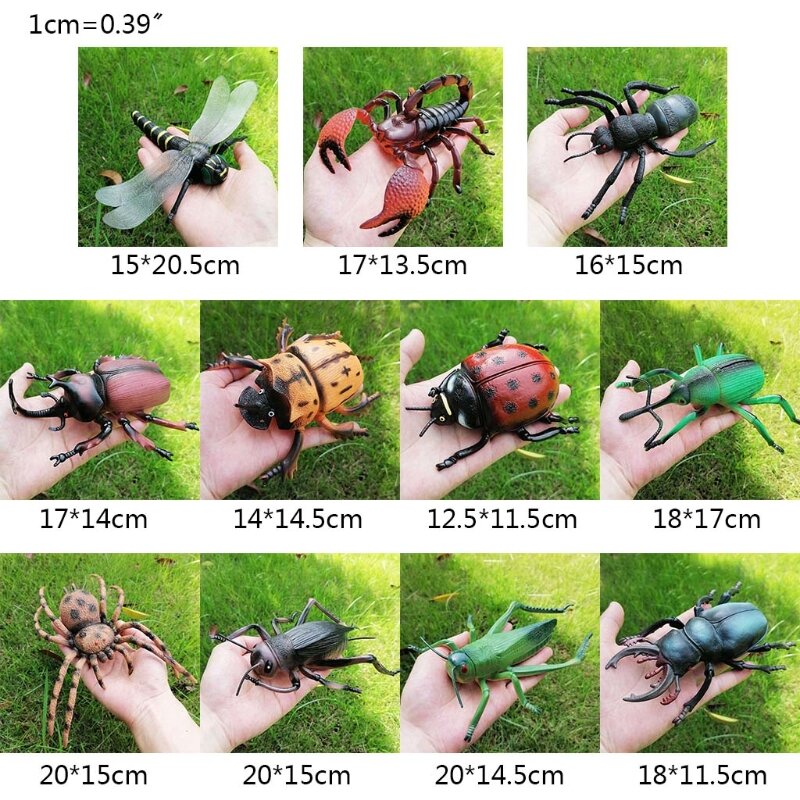 محاكاة الحياة البرية نموذج زخرفة واقعية الحشرات الشكل الطفل لعبة تعليمية