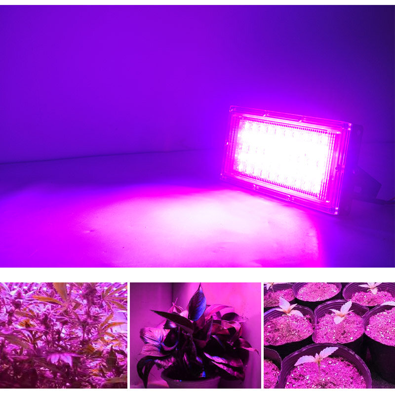 LED تنمو ضوء الكاشف E27 LED مصباح الطيف الكامل 50 واط التيار المتناوب 220 فولت داخلي مصنع مصباح الأشعة فوق البنفسجية ل نظام الزراعة المائية المزهرة