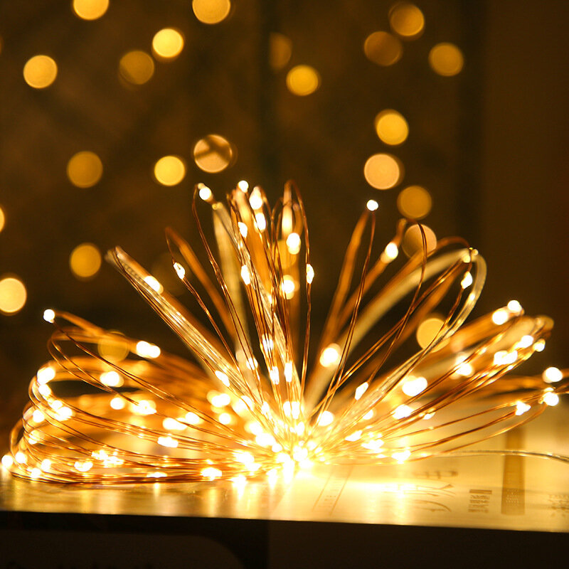 USB الجنية أضواء الأسلاك النحاسية LED سلسلة أضواء مع ON/Off التبديل عيد الميلاد جارلاند داخلي المنزل الزفاف السنة الجديدة الديكور