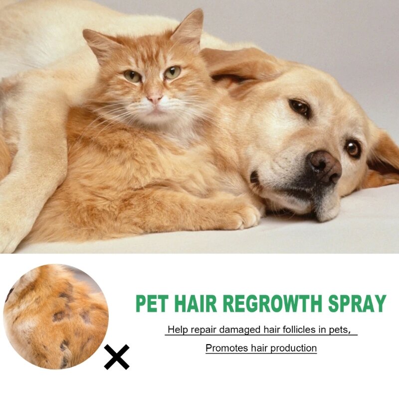الكلب الجسم رذاذ الجلد معطف الصحة السائل المكملات الغذائية علاجات تساقط الشعر الحيوانات الأليفة تعزيز إنتاج الشعر للكلاب القطط
