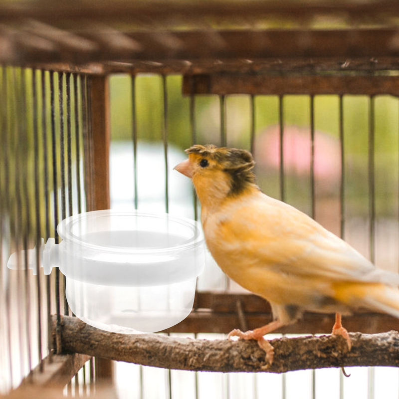 مغذي مياه للطيور مع وعاء شفاف قابل للإزالة ، كوب طعام بلاستيكي ، تعليق سهل ، ببغاء ، قفص طائر الطنان