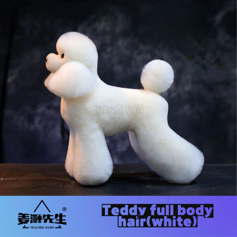 مجسم كامل للجسم من Mr.Jiang ، نموذج مجسم لمعلم الحيوانات الأليفة ، نموذج مجسم الكلب ، نموذج هيكل عظمي قياسي ، شعر مزيف للجسم بالكامل
