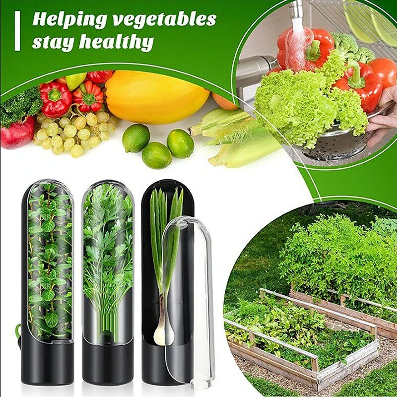 صندوق حفظ الخضروات للمنزل ، زجاجة تخزين الأعشاب ، أداة المطبخ ، لوازم المطبخ ، تخزين الطازجة