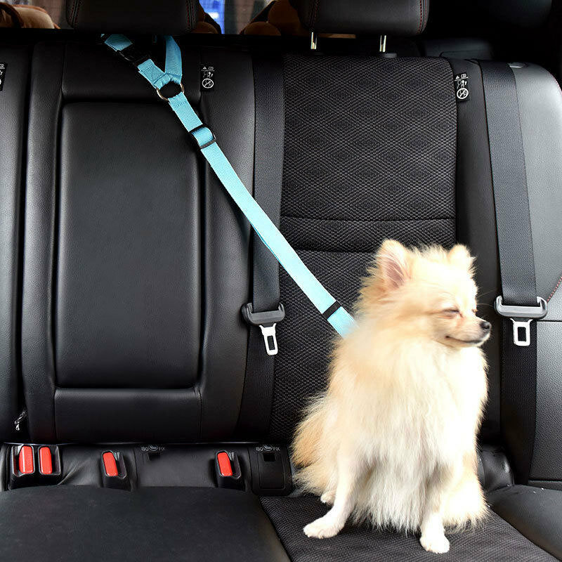 الحيوانات الأليفة مقعد خاص للكلب حزام سيارة سيارة جرو سيارة حزام الأمان تسخير الرصاص كليب كلب لوازم السلامة رافعة السيارات الجر المنتجات