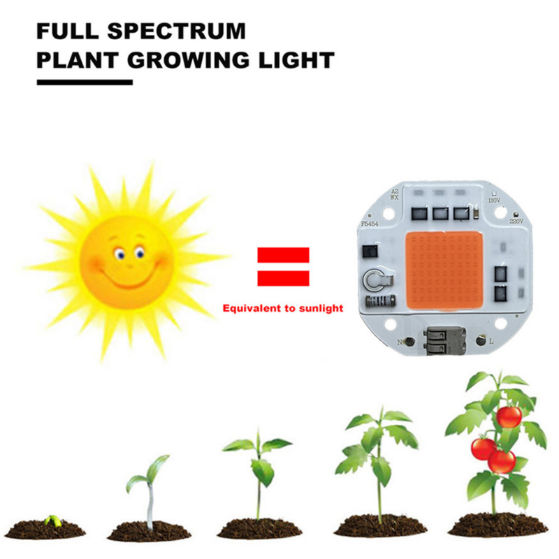LED تنمو مصباح COB رقاقة الطيف الكامل التيار المتناوب 220 فولت 10 واط 20 واط 30 واط 50 واط-100 واط لا حاجة سائق للنمو زهرة الشتلات تنمو النباتات الإضاءة