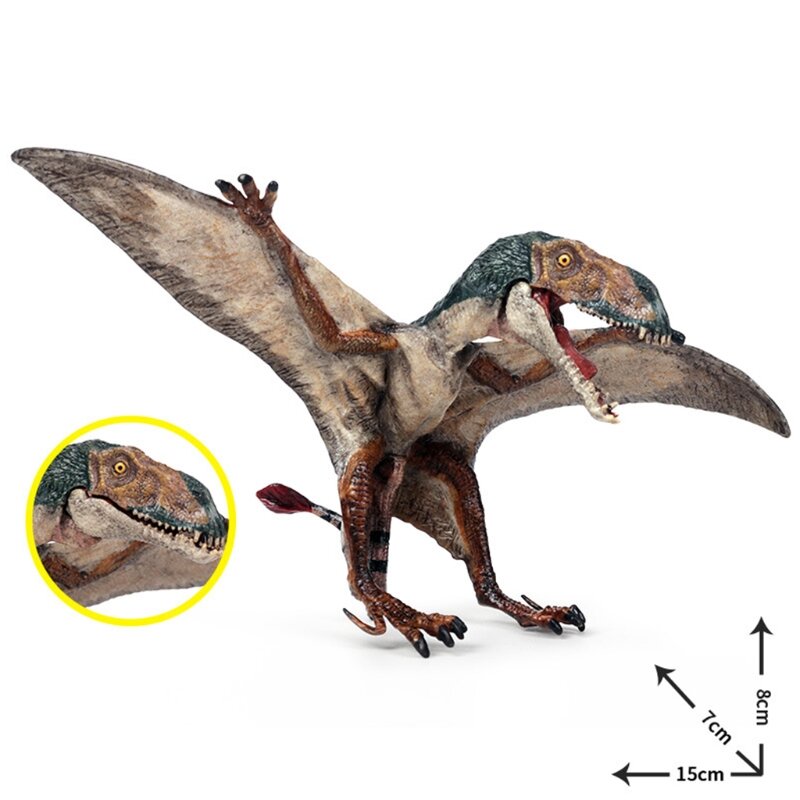 HUYU 1 قطعة ألعاب الديناصورات شخصيات واقعية بلاستيكية التيروصوريا طفل متحرك الفم
