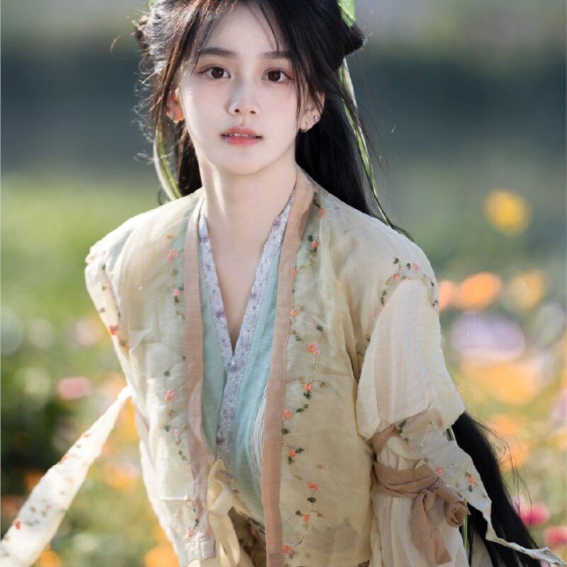 ملابس هان الصينية للنساء ، عناصر جديدة ، زي قديم يومي ، تنورة صغيرة