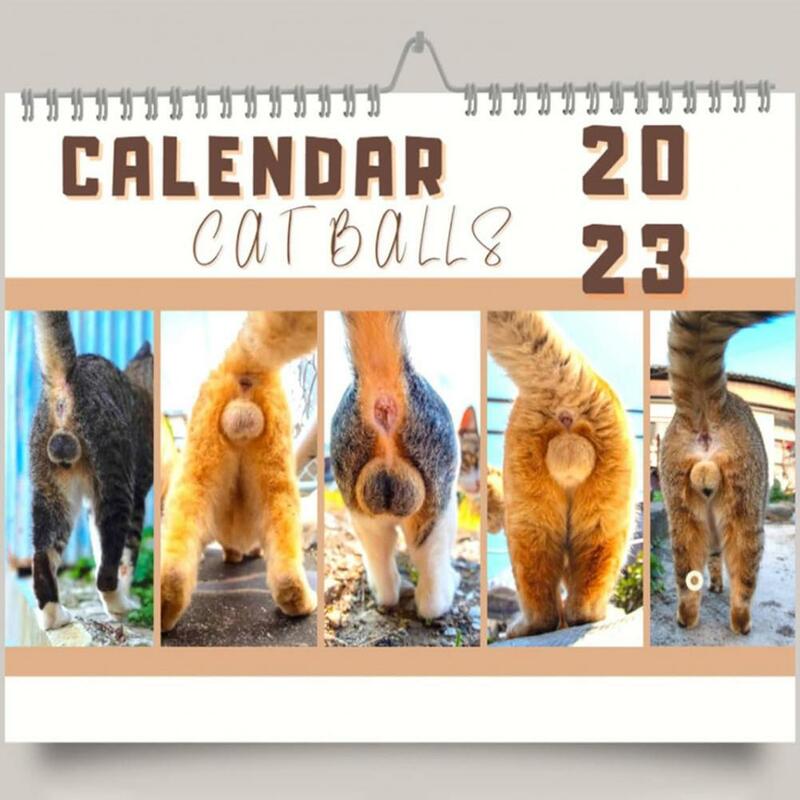القطط Buttholes التقويم مبتكر ديكور صفحات شهرية 2023 جدول يومي معلق التقويم للمنزل
