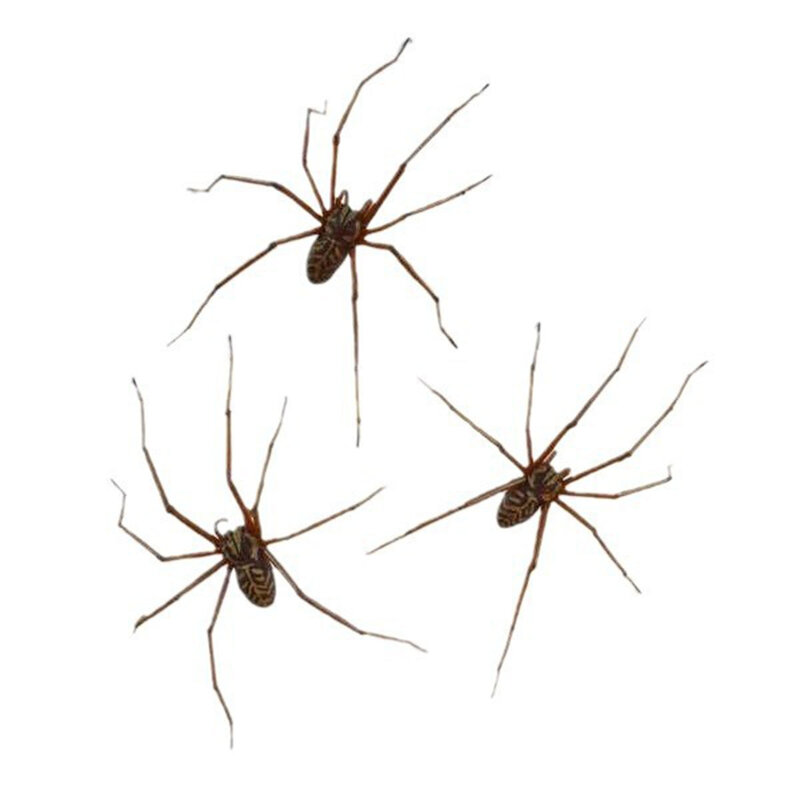 مجموعة أقراط عنكبوت بلاستيكية من ههالاين ، أقراط عنكبوت عملاقة ثلاثية الأبعاد اصطناعية ، مجوهرات مرعبة للحفلات