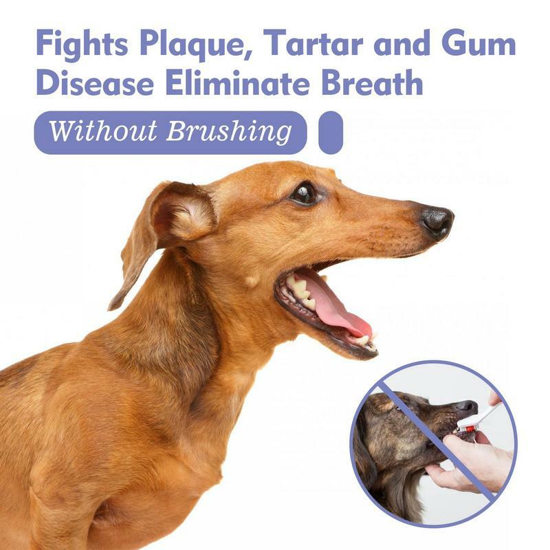 الطازجة التنفس الأسنان رذاذ للكلاب والقطط ، المعطر لتنظيف الأسنان ، 30 مللي ، القط العناية بالأسنان ، رائحة الفم الكريهة