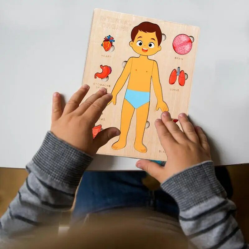 خشبية لغز جسم الإنسان للأطفال ، مونتيسوري ألعاب تعليمية ، دائم وآمنة ، ألعاب تعليمية ملونة