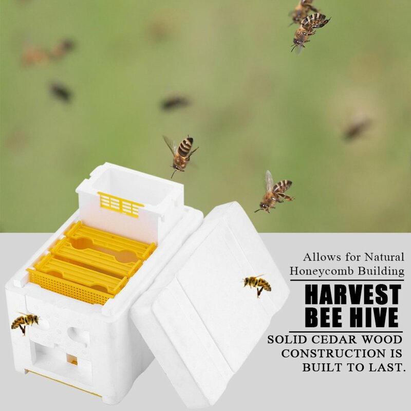 رغوة خلية النحل صناديق الذيل ، صناديق تربية النحل ، مجموعات صندوق التلقيح ، أدوات تربية النحل
