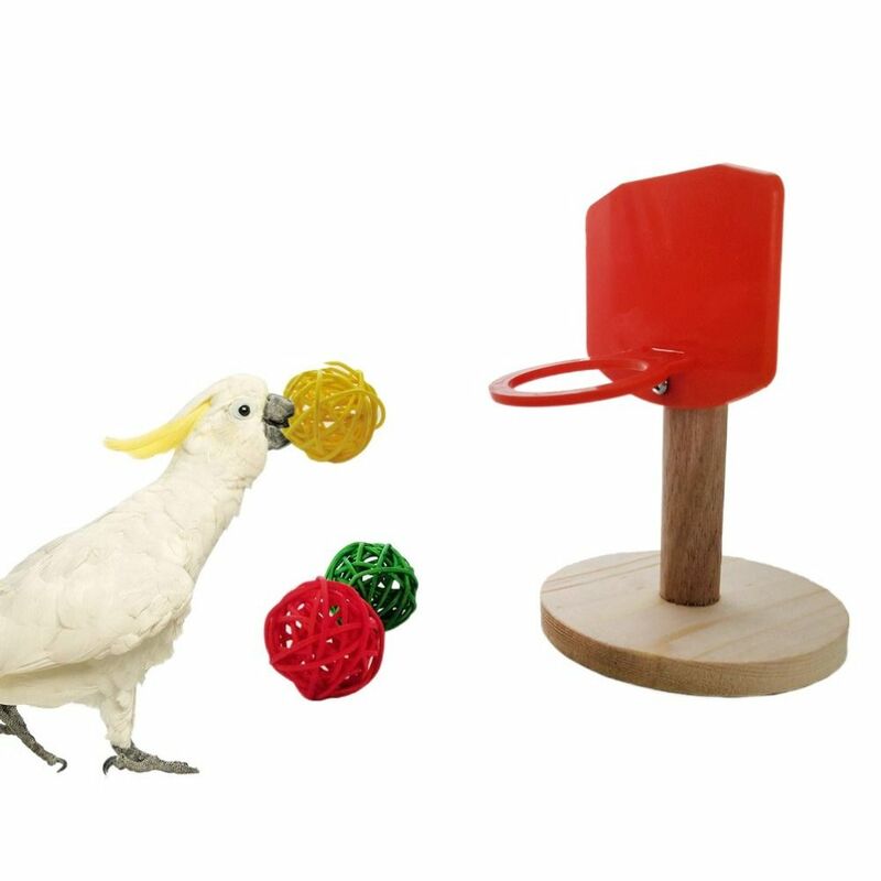 لعبة طيور خشبية وبلاستيكية ، مقاومة للعض ، إطار كرة سلة ببغاء ، سلة صغيرة مع كرة مضغ