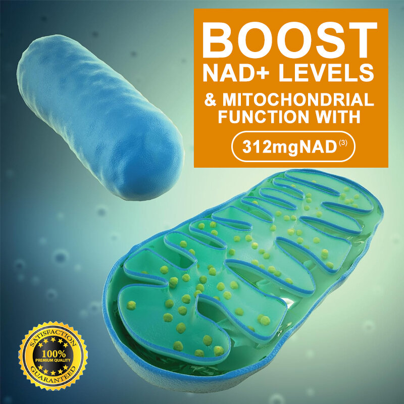 NAD مكملات تقوية الخلايا المضادة للشيخوخة ، تدعم الطاقة الطبيعية
